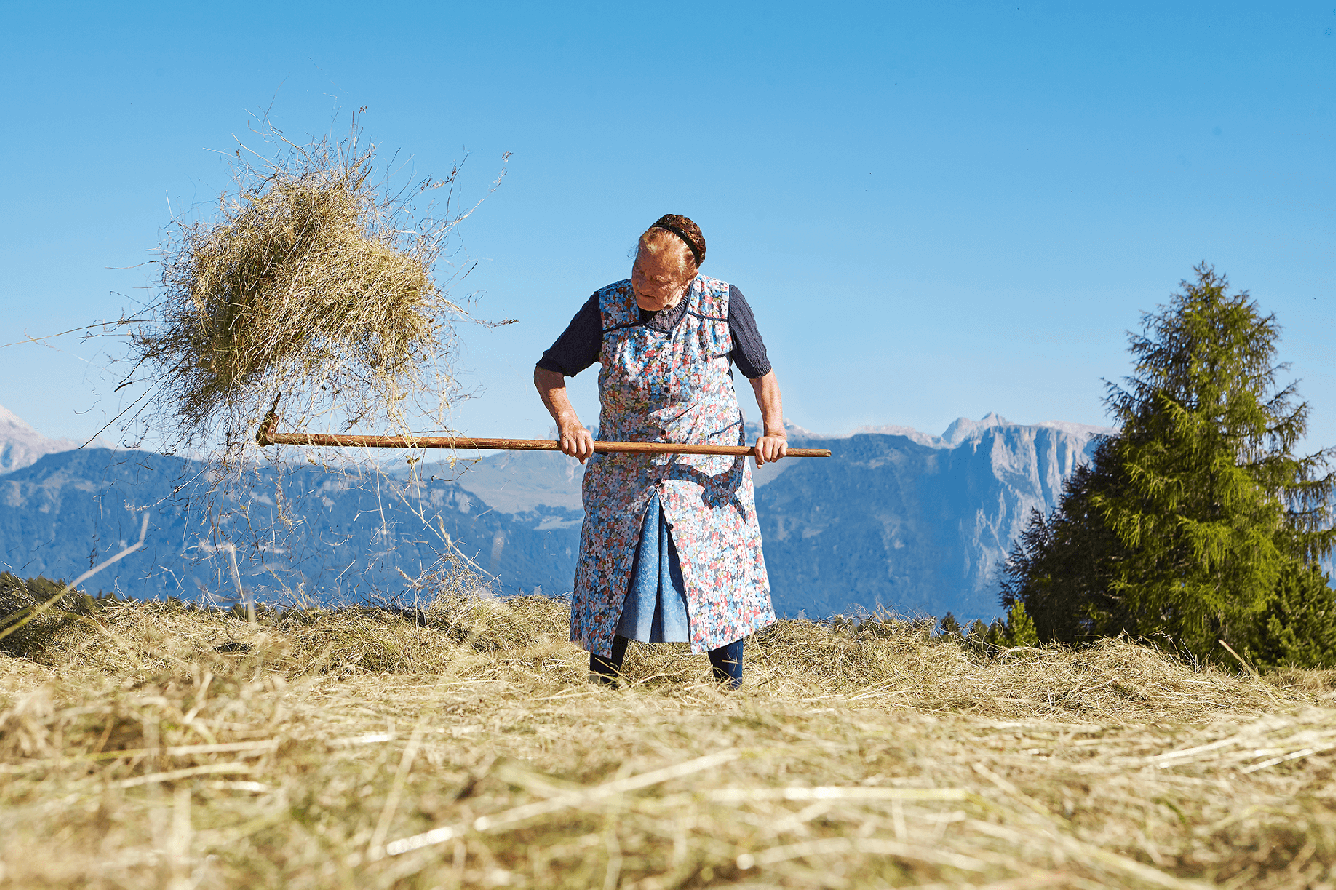 Firmen: BRIMI Milchhof Brixen